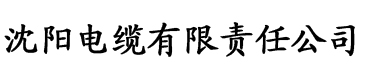 果冻传媒,我在打扫卫生电缆厂logo